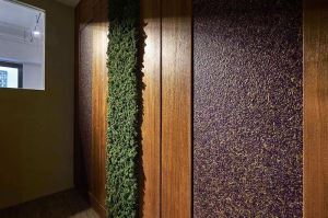 用有機建材打造城市裡的聲音綠洲 自然純淨的放鬆空間_視覺圖