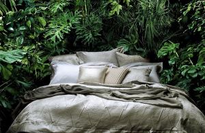 我在床上環遊世界_視覺圖