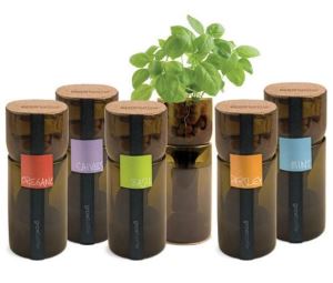 環保小尖兵--水栽瓶中草_視覺圖