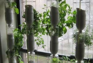 綠色好禮─ 愜意水栽_視覺圖