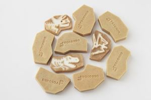 化石當肥皂洗，驚見恐龍骨骸！_視覺圖