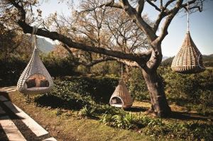 我家像鳥窩一樣舒適_視覺圖