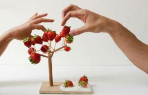 餐桌上一棵開花的樹 ─ 加拿大生活時尚女王Kim Vallee精選_視覺圖