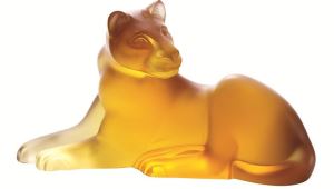 來一場非洲探險之旅_視覺圖