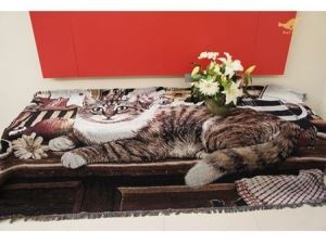 打造有貓咪陪伴的家！_視覺圖