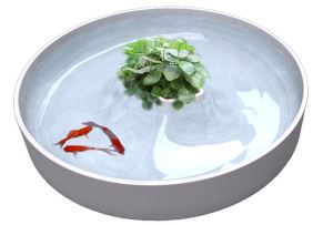 驚！花器中赫見沉沒孤島？！_視覺圖