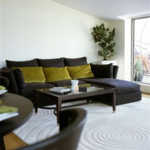 英國風水顧問訪談記錄 (上)_視覺圖