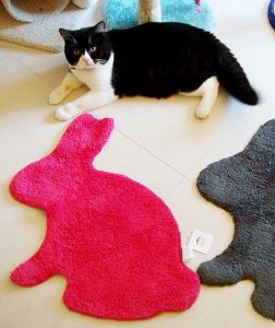 Dear~你的頸間??!!_視覺圖