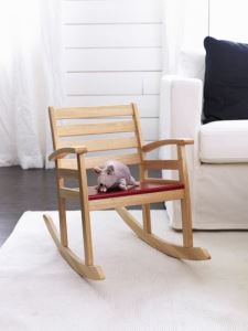 搖搖 or 瑤瑤 ??_視覺圖