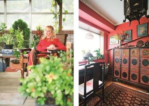 戀台37年 和狗兒同住亞洲古董堆裡 Faye_視覺圖