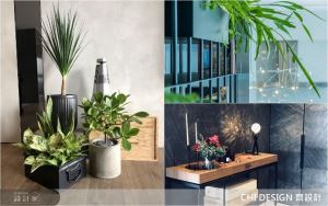 凌亂、單調OUT！植栽佈置 4 重點，打造層次感滿分的室內小綠洲_視覺圖
