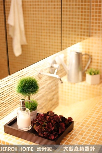 25坪老屋(16~30年)＿休閒風浴室案例圖片＿大湖森林室內設計＿大湖森林_12之9