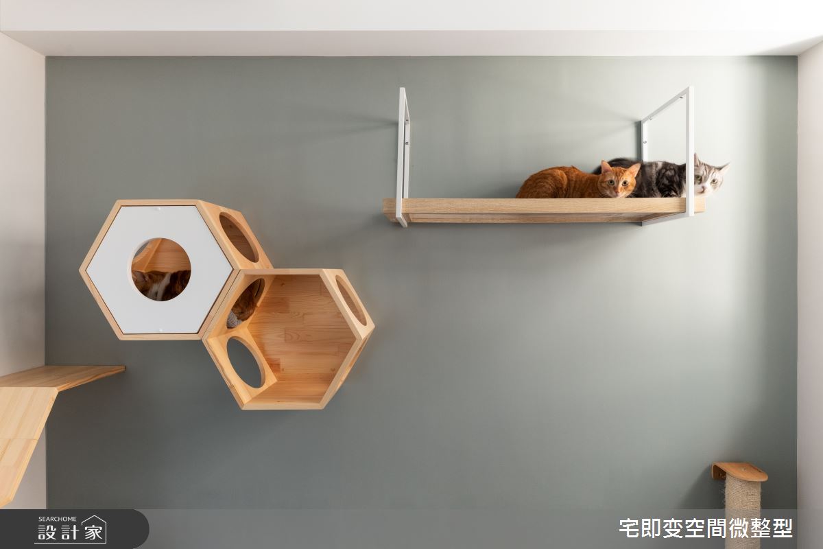 25坪中古屋(5~15年)＿北歐風寵物案例圖片＿宅即變空間微整型＿宅即變_48之25