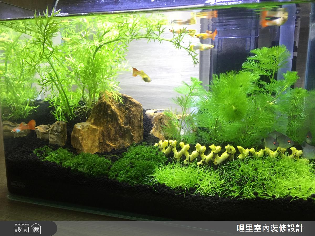 26坪預售屋＿簡約風玄關案例圖片＿哩里室內裝修設計有限公司＿哩里_06之2