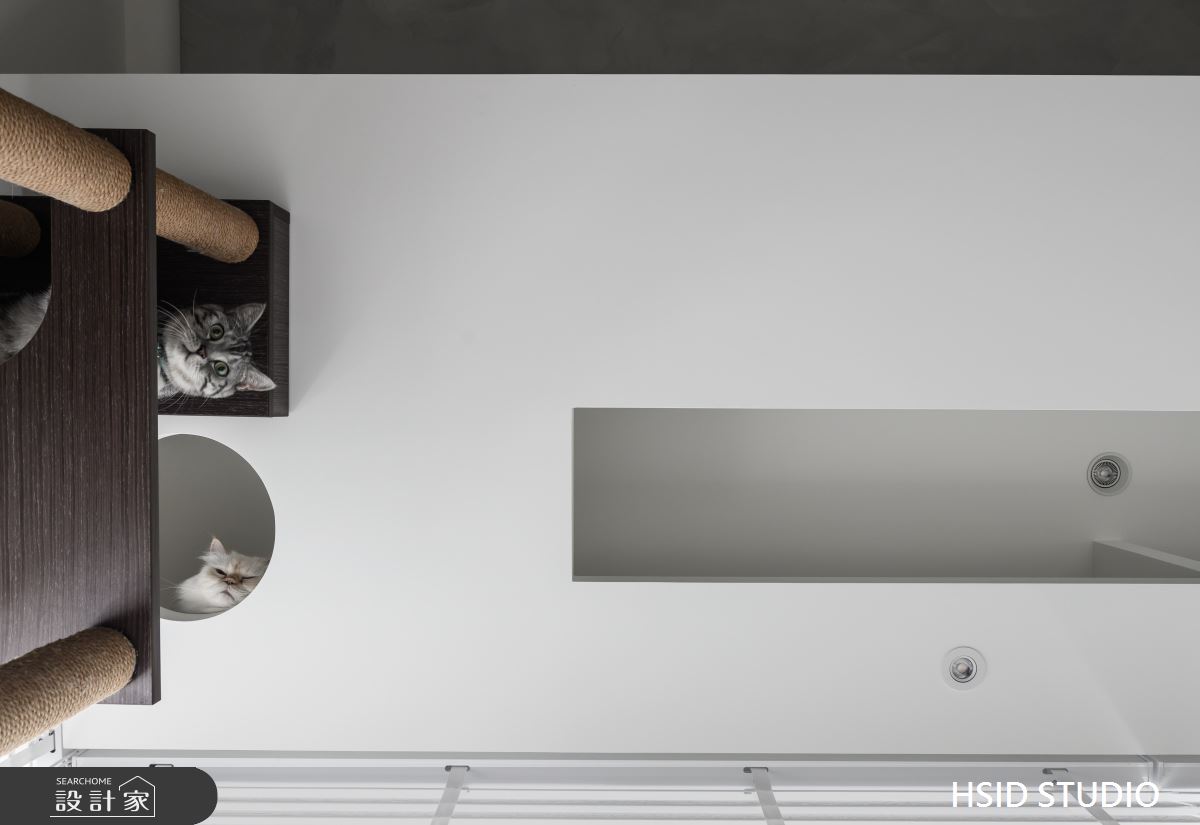 40坪老屋(41~50年)＿現代風寵物案例圖片＿樺設室內裝修設計有限公司 HSID STUDIO＿樺設_23Residence_H之9