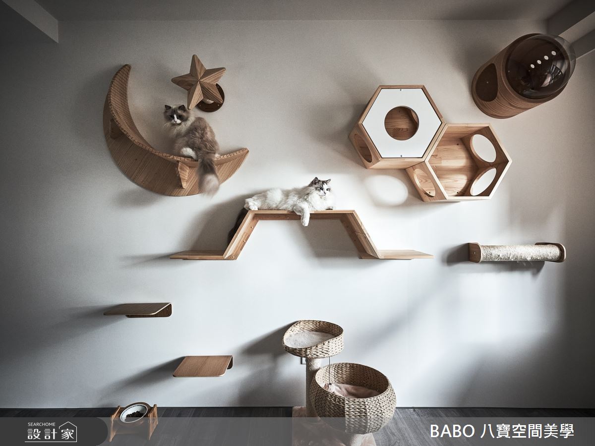 35坪中古屋(5~15年)＿現代風寵物案例圖片＿八寶空間美學＿八寶_語默之19