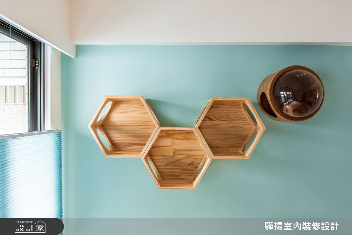 中古屋(5~15年)＿混搭風寵物多功能室案例圖片＿驊揚室內裝修設計有限公司＿驊揚_02灣中街透天之27