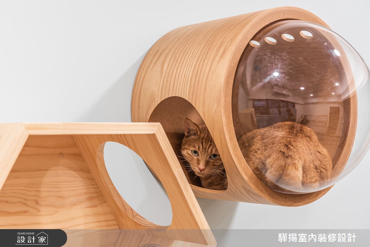 中古屋(5~15年)＿混搭風寵物多功能室案例圖片＿驊揚室內裝修設計有限公司＿驊揚_02灣中街透天之28