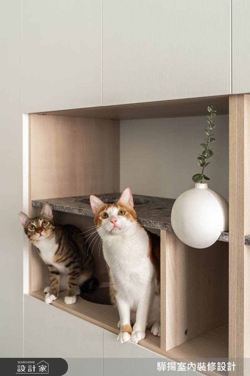16坪新成屋(5年以下)＿北歐風寵物案例圖片＿驊揚室內裝修設計有限公司＿驊揚_88之21