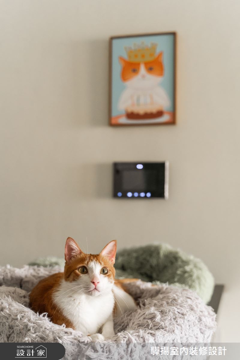 16坪新成屋(5年以下)＿北歐風寵物案例圖片＿驊揚室內裝修設計有限公司＿驊揚_88之28