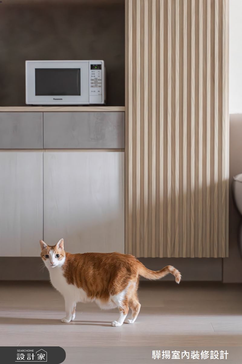 新成屋(5年以下)＿混搭風客廳案例圖片＿驊揚室內裝修設計有限公司＿驊揚_110之7