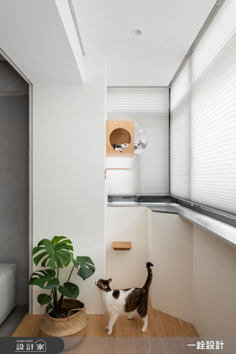 21坪老屋(16~30年)＿現代風客廳寵物案例圖片＿一銓室內裝修設計工程有限公司＿一銓_無界之3