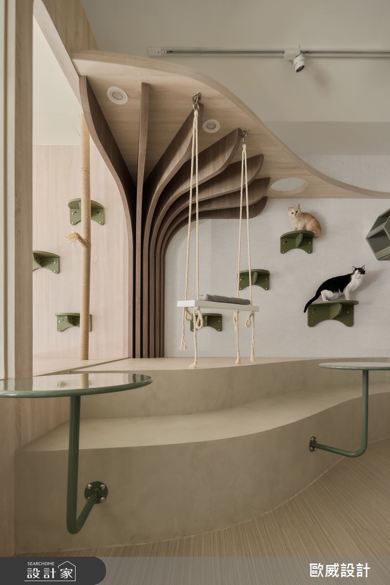 30坪老屋(16~30年)＿簡約風商業空間案例圖片＿歐威室內設計有限公司＿歐威_繆思貓旅之9