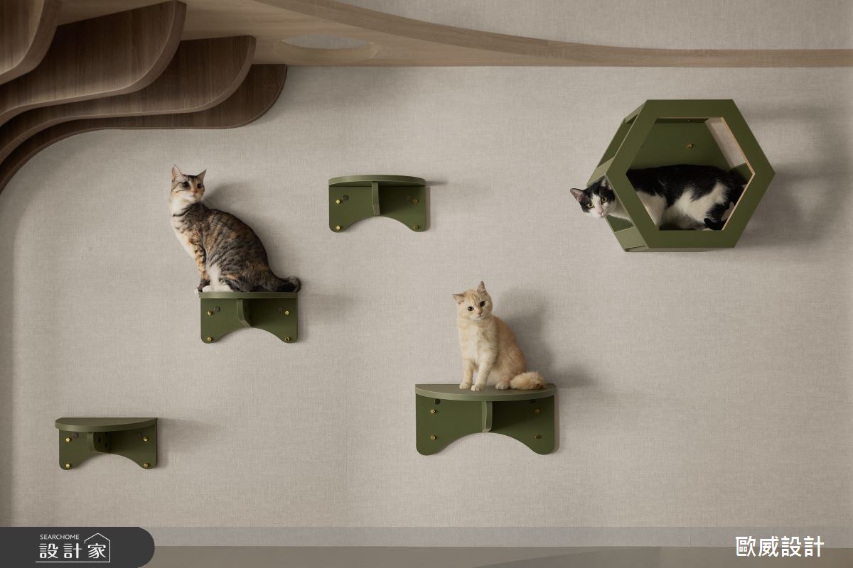 30坪老屋(16~30年)＿簡約風商業空間案例圖片＿歐威室內設計有限公司＿歐威_繆思貓旅之10