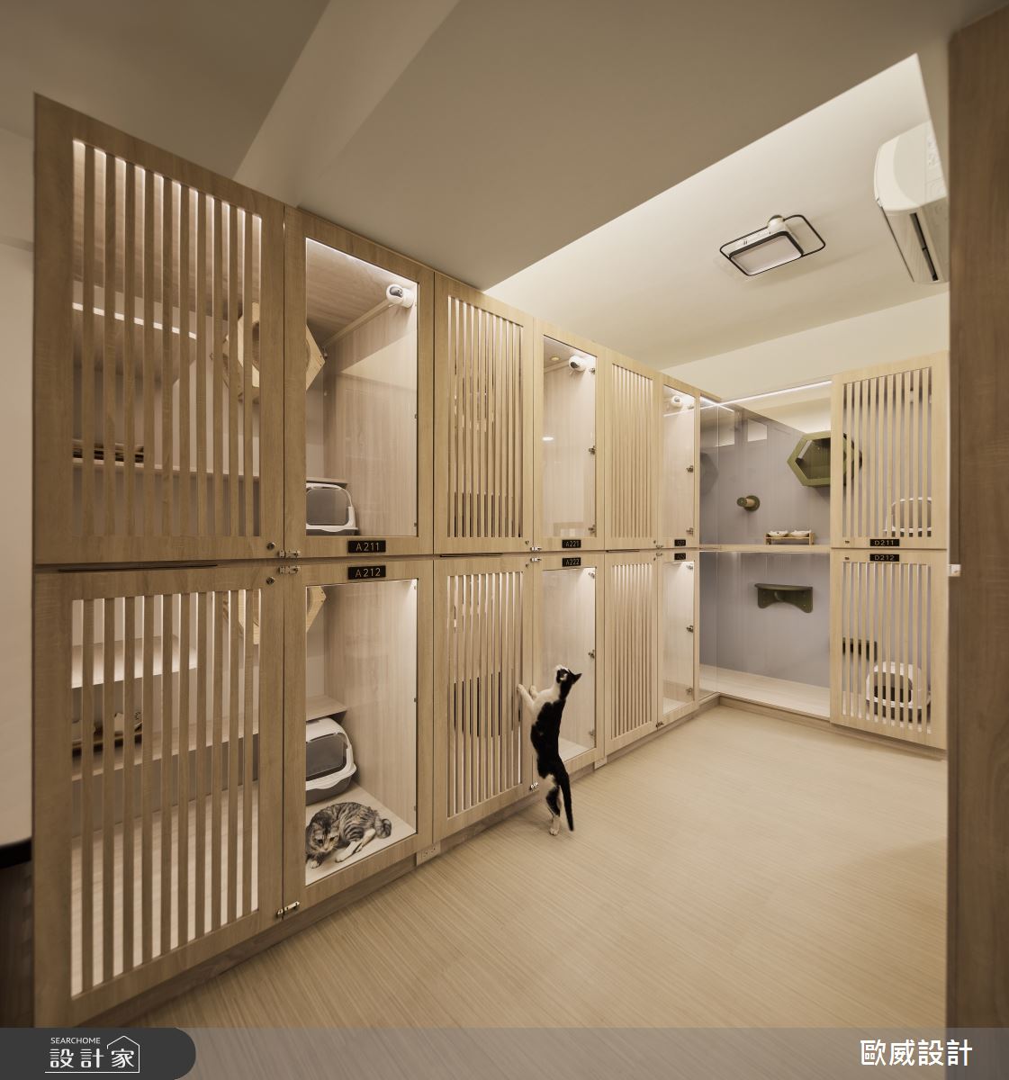 30坪老屋(16~30年)＿簡約風商業空間案例圖片＿歐威室內設計有限公司＿歐威_繆思貓旅之16