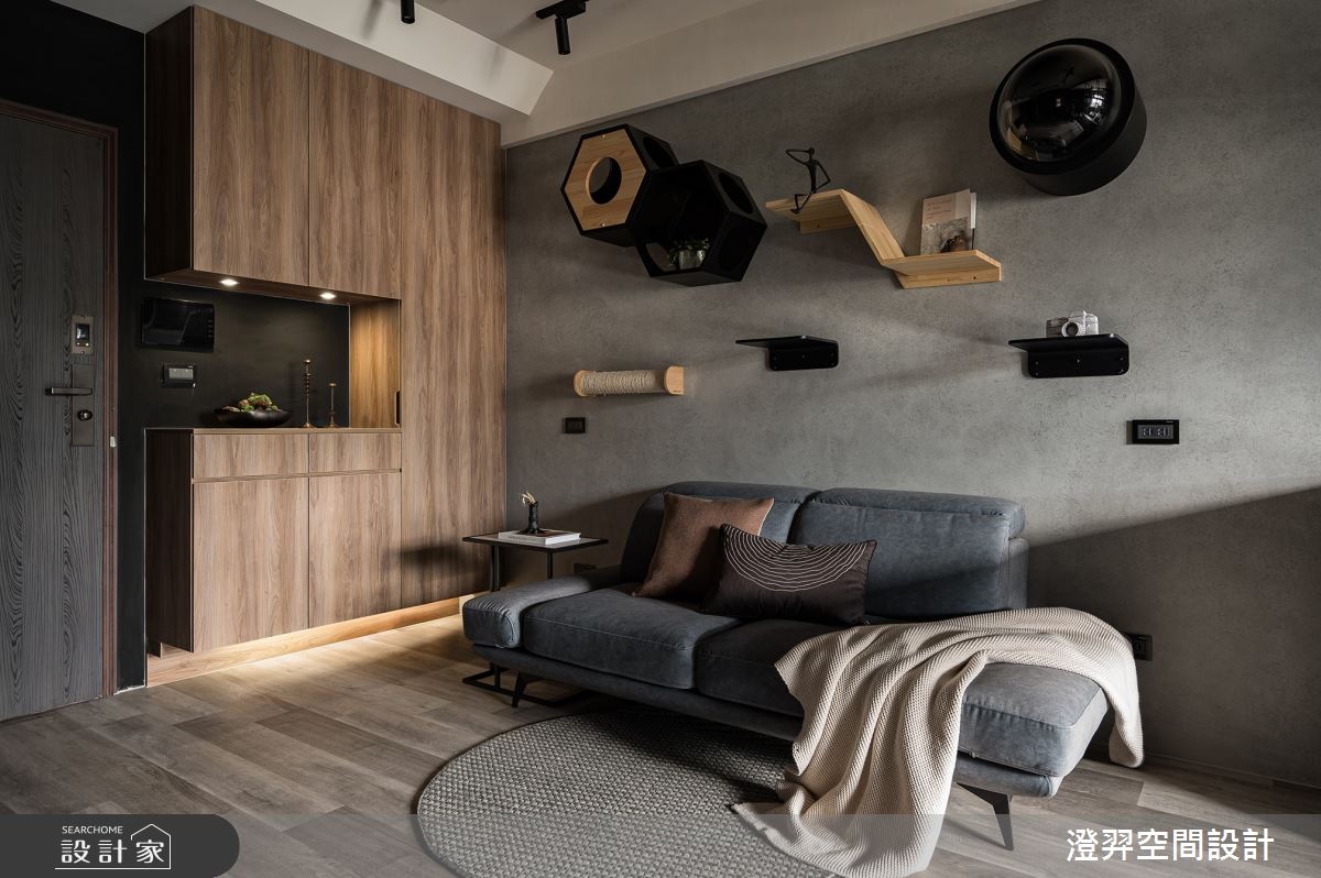 12坪新成屋(5年以下)＿工業風玄關客廳寵物案例圖片＿澄羿空間設計＿澄羿_璞木之3