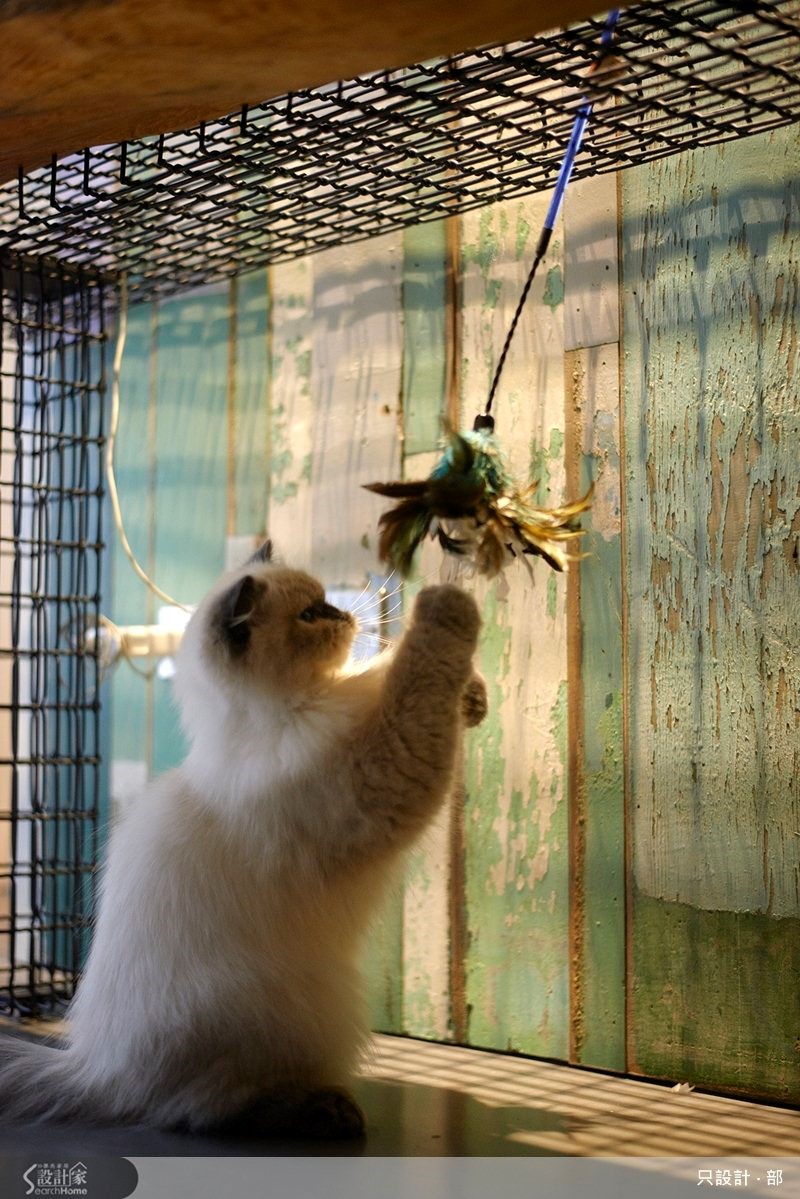 25坪新成屋(5年以下)＿工業風案例圖片＿只設計‧部＿只設計_10之15