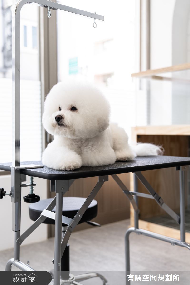 19坪老屋(16~30年)＿混搭風商業空間案例圖片＿有隅空間規劃所＿有隅_29.Mu Pet Salon之14