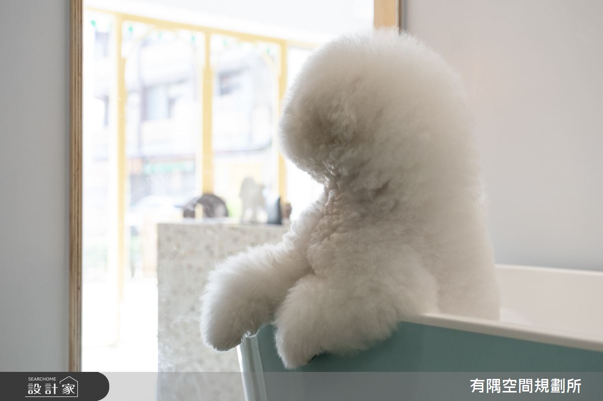 19坪老屋(16~30年)＿混搭風商業空間案例圖片＿有隅空間規劃所＿有隅_29.Mu Pet Salon之20