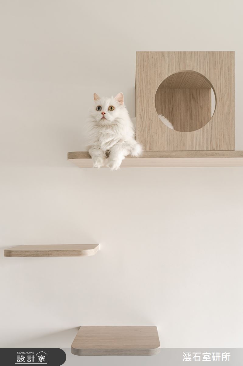 32坪新古屋(10年以下)＿現代風臥室寵物案例圖片＿澐石室研所＿澐石_26寶輝國際莊園之19