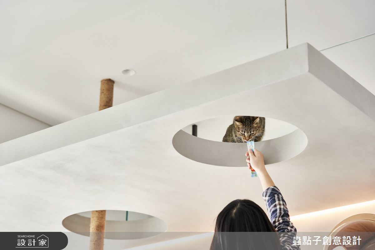32坪新成屋(5年以下)＿簡約風工作區寵物案例圖片＿蟲點子創意設計＿蟲點子_89之43