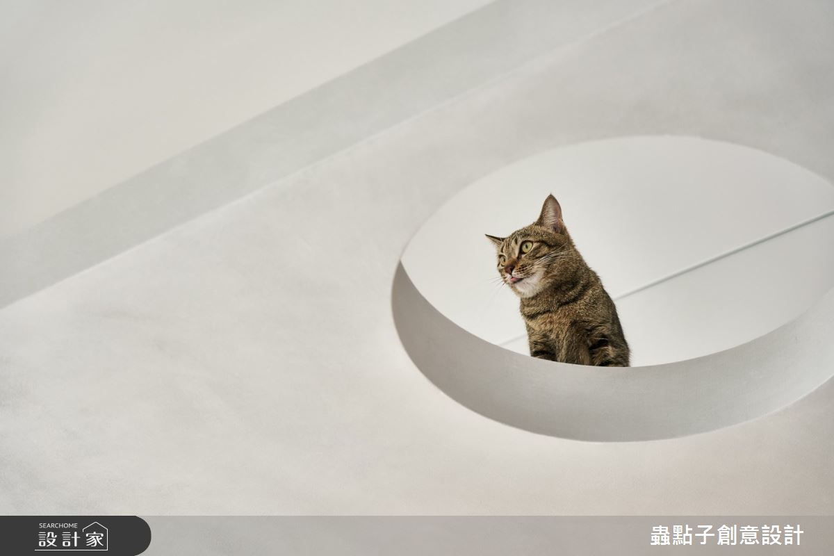 32坪新成屋(5年以下)＿簡約風工作區寵物案例圖片＿蟲點子創意設計＿蟲點子_89之44