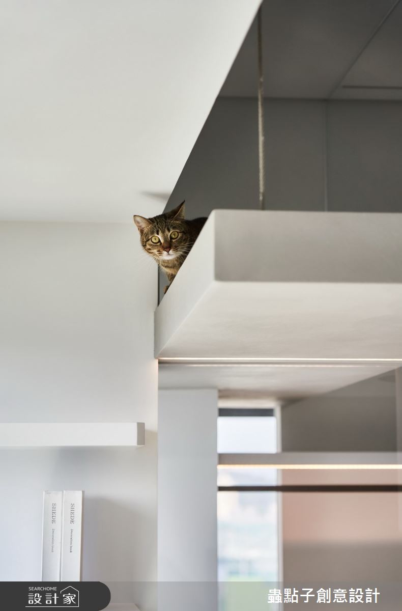 32坪新成屋(5年以下)＿簡約風工作區寵物案例圖片＿蟲點子創意設計＿蟲點子_89之41