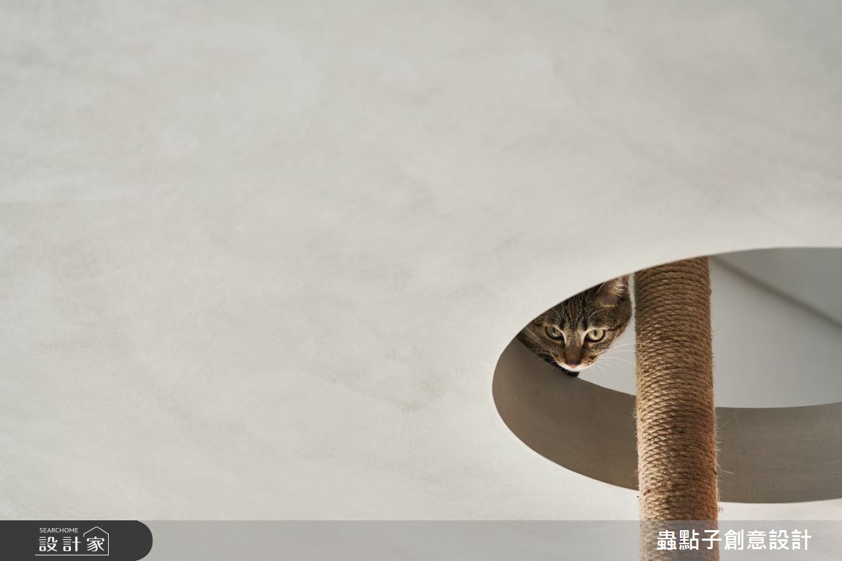 32坪新成屋(5年以下)＿簡約風工作區寵物案例圖片＿蟲點子創意設計＿蟲點子_89之45