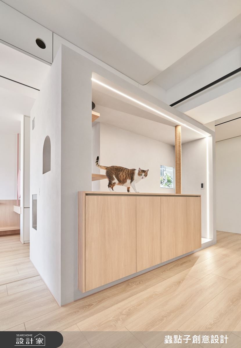 39坪新成屋(5年以下)＿簡約風客廳寵物案例圖片＿蟲點子創意設計＿蟲點子_107之21