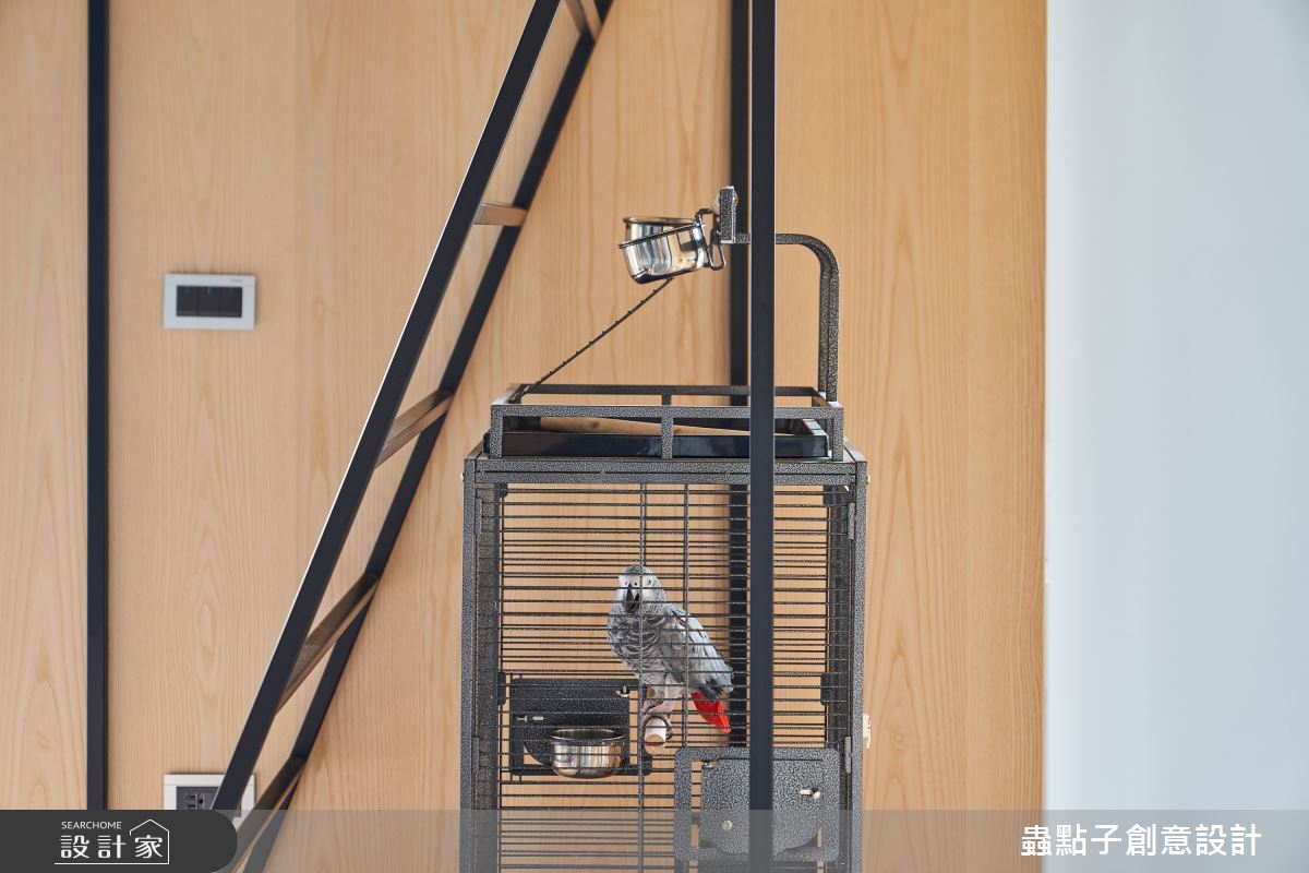 52坪中古屋(5~15年)＿簡約風樓梯寵物案例圖片＿蟲點子創意設計＿蟲點子_115之30