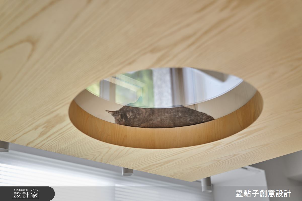 52坪中古屋(5~15年)＿簡約風書房寵物案例圖片＿蟲點子創意設計＿蟲點子_115之39