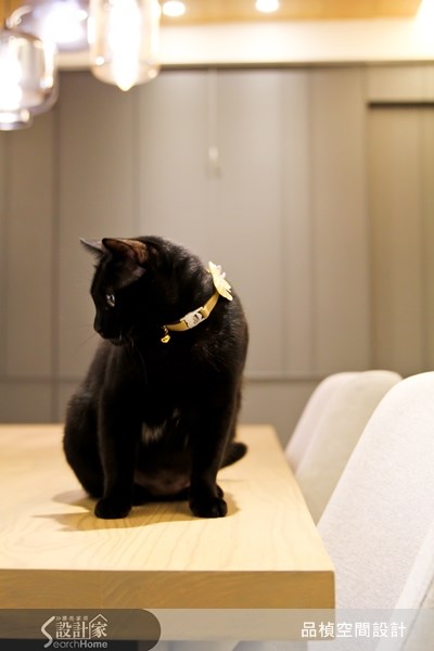 38坪新成屋(5年以下)＿療癒風餐廳寵物案例圖片＿品楨空間設計＿品楨_09之11