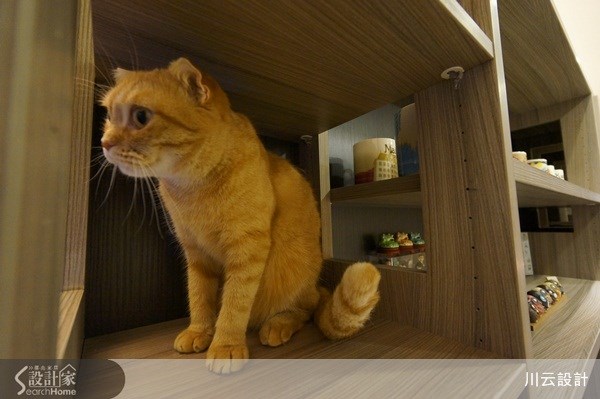 25坪中古屋(5~15年)＿北歐風案例圖片＿川云設計＿川云_04之21