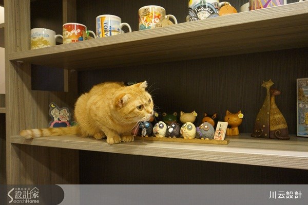 25坪中古屋(5~15年)＿北歐風案例圖片＿川云設計＿川云_04之28