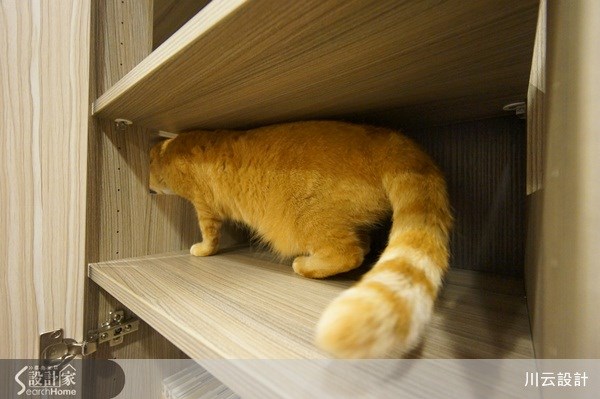 25坪中古屋(5~15年)＿北歐風案例圖片＿川云設計＿川云_04之18