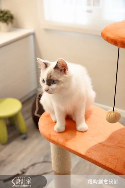 26坪老屋(16~30年)＿北歐風寵物案例圖片＿耀昀創意設計＿耀昀_09之27