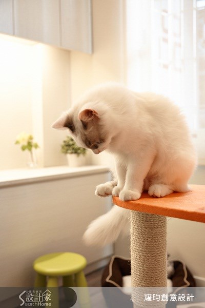 26坪老屋(16~30年)＿北歐風寵物案例圖片＿耀昀創意設計＿耀昀_09之28