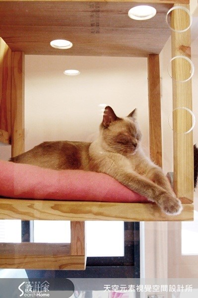 10坪預售屋＿北歐風案例圖片＿天空元素視覺空間設計所＿天空元素_05之12