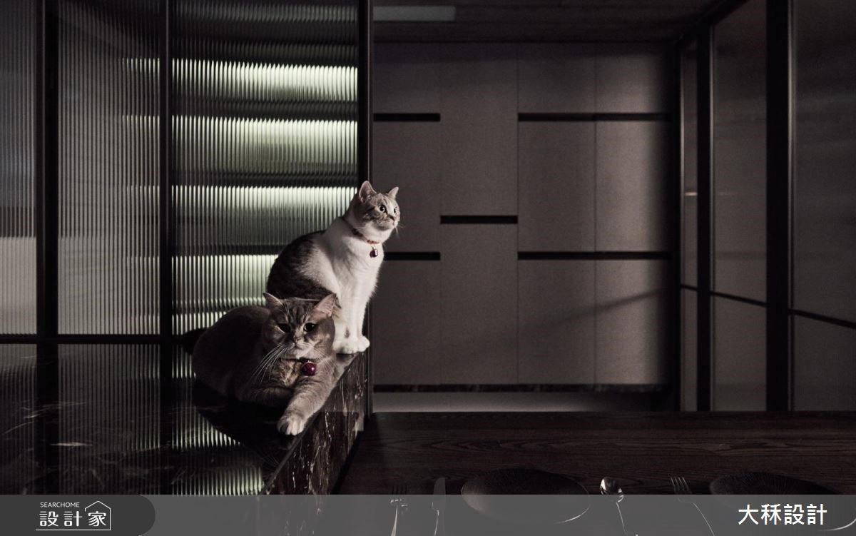 20坪新成屋(5年以下)＿現代風廚房吧檯案例圖片＿大秝空間設計/建築規劃＿大秝_23之7