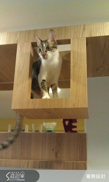 20坪老屋(16~30年)＿美式風寵物案例圖片＿寬築設計有限公司＿寬築_08之5